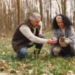 New exchange platform promises zero fees for retail traders